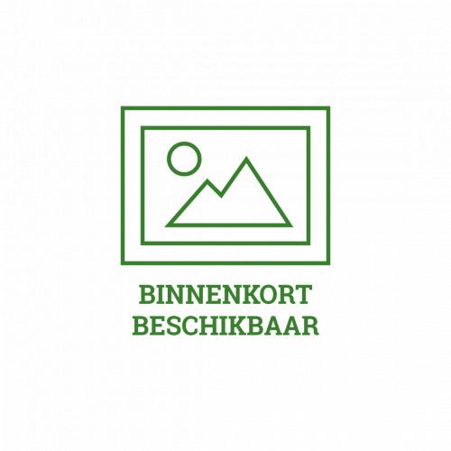 2L Home Tuinstoelkussen Hoge Rug Basic Rood