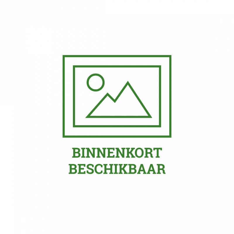 2L Home Tuinstoelkussen Hoge Rug Basic Rood